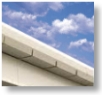 Gutter Cleaning